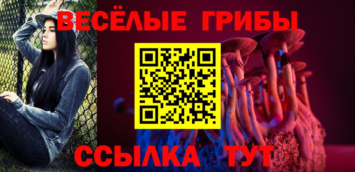 Псилоцибиновые грибы Psilocybine cubensis  Вход с VPN  Брянск 